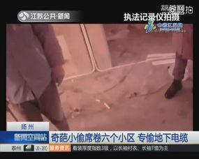 偷推国产视频在线观看,在线观看攻略与推荐